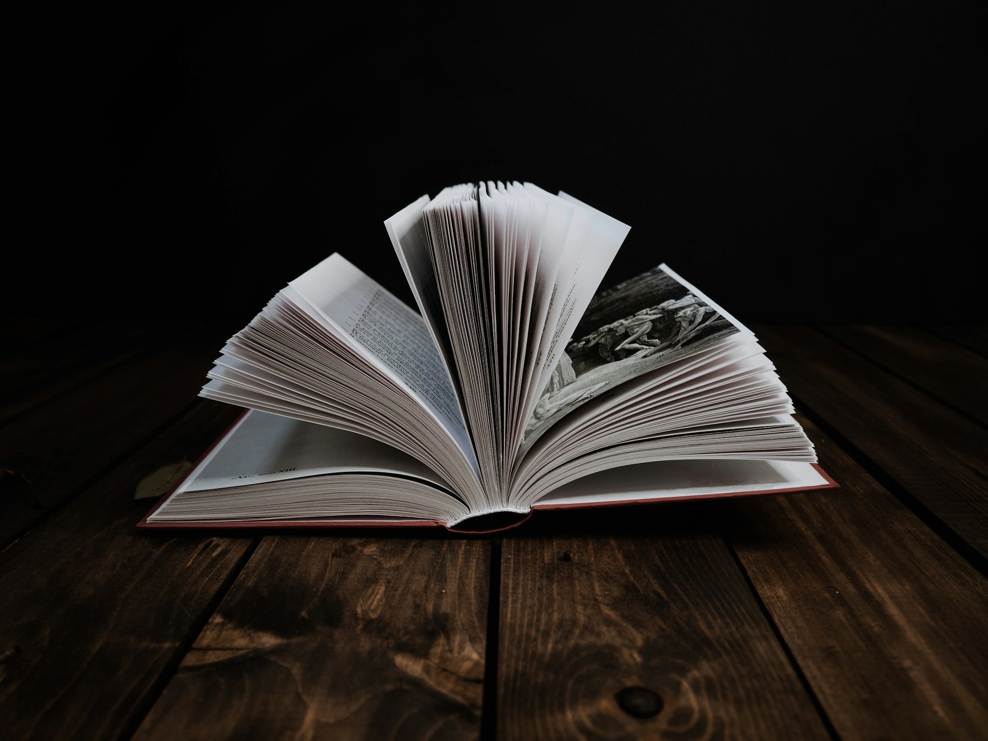 A book falling open with its pages spread apart, suggesting you can start anywhere, just like the information architecture principles of Every Page is Page One.